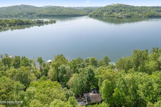 drone / aerial view of a heavily wooded area and a large body of water