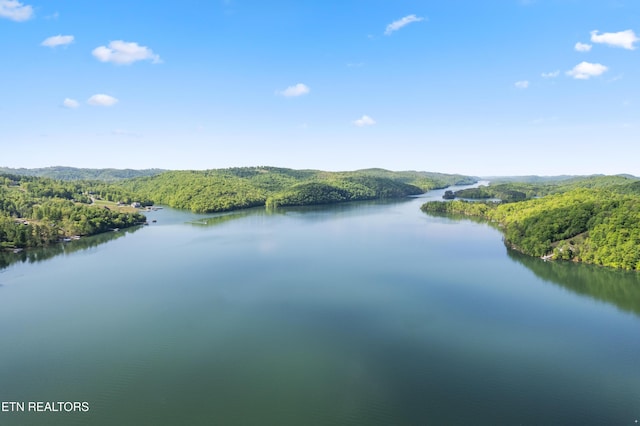 water view featuring a forest