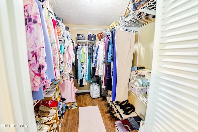 walk in closet featuring wood finished floors