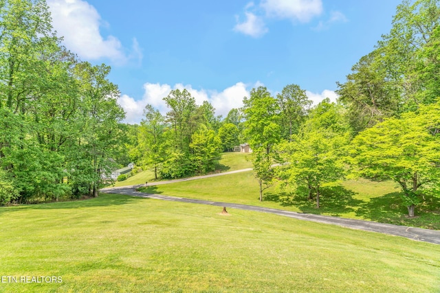 view of community with a yard
