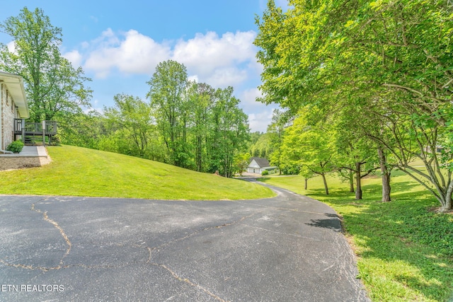 view of road with aphalt driveway