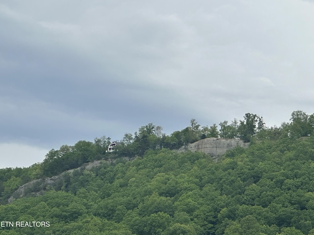 view of local wilderness featuring a wooded view