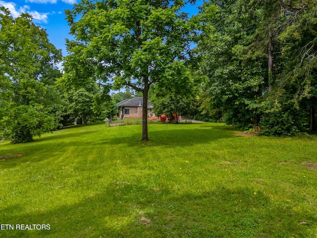1819 Big Buck Ln, Sevierville, TN 37876 - view of grassy yard