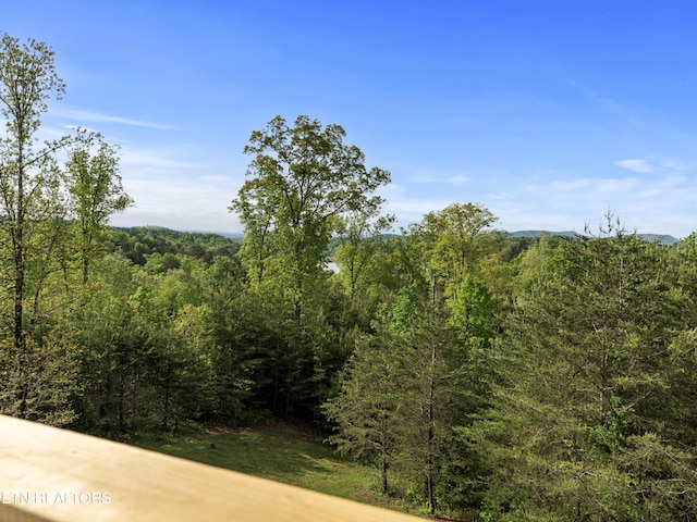 155 George Thomas Rd, Vonore, TN 37885 - view of local wilderness featuring a wooded view
