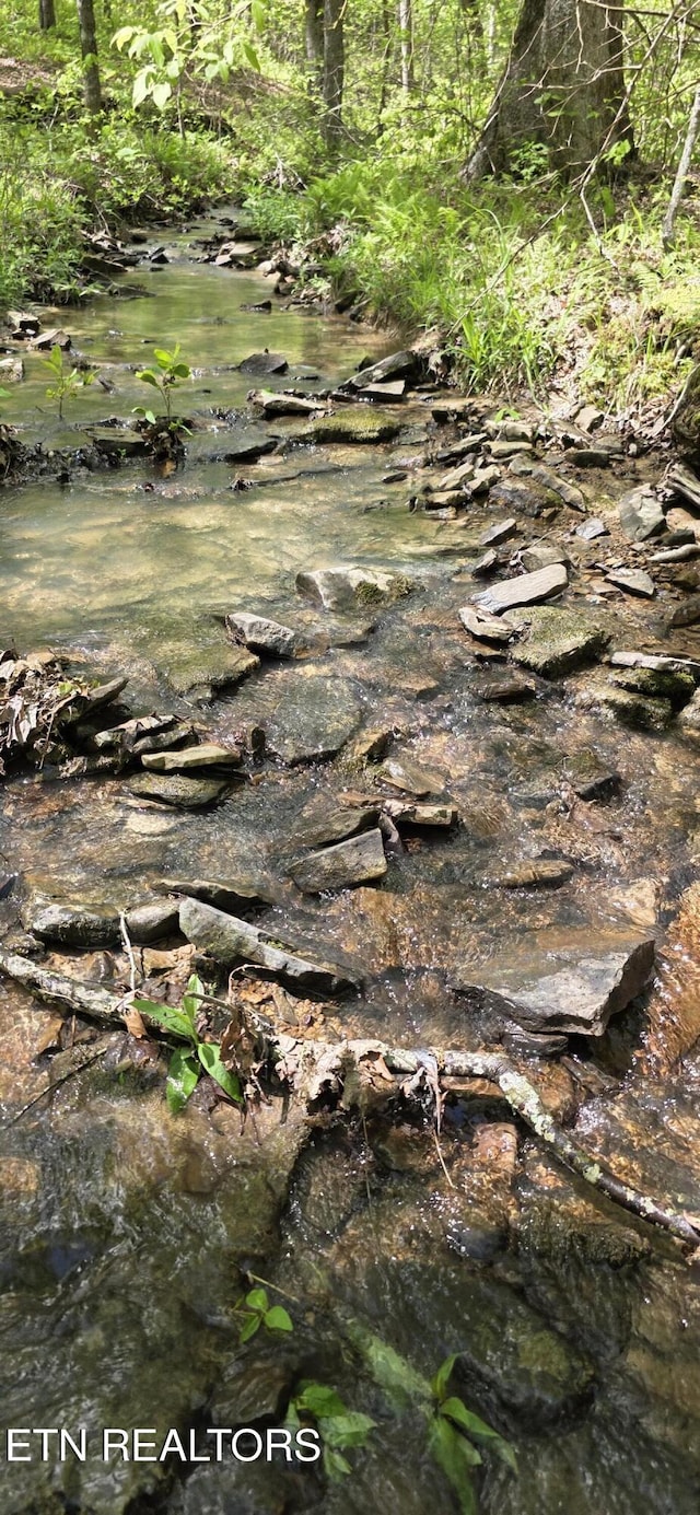 2165 Street Place Loop, Monterey, TN 38574 - view of undeveloped land