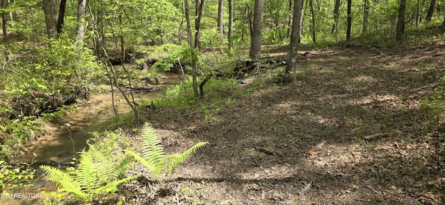 2165 Street Place Loop, Monterey, TN 38574 - view of nature