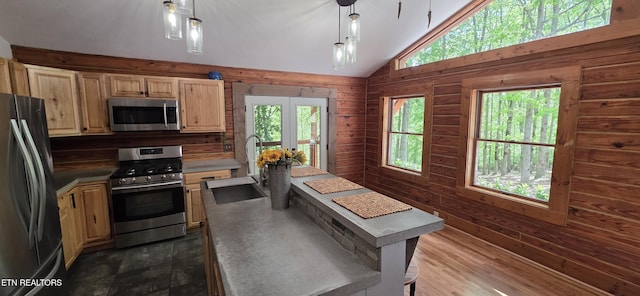 2165 Street Place Loop, Monterey, TN 38574 - kitchen featuring stainless steel appliances, a sink, plenty of natural light, lofted ceiling, and wooden walls