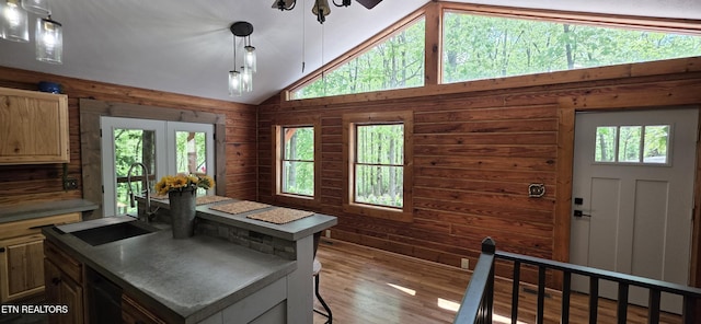 2165 Street Place Loop, Monterey, TN 38574 - kitchen featuring vaulted ceiling, plenty of natural light, wood finished floors, a sink, and a center island