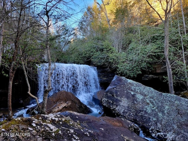 2165 Street Place Loop, Monterey, TN 38574 - view of local wilderness