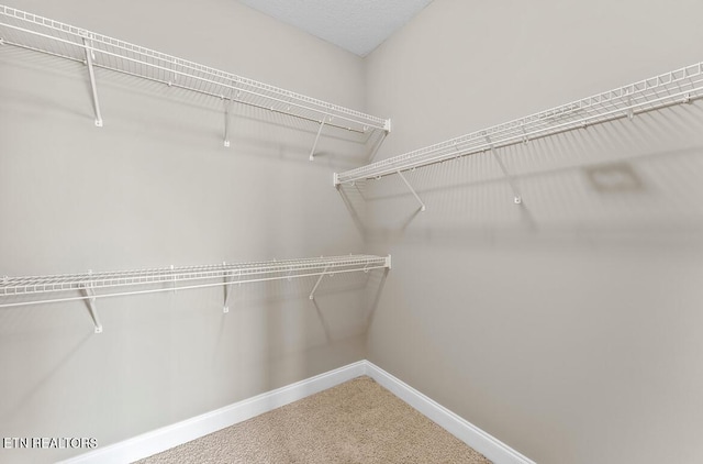 walk in closet featuring carpet flooring