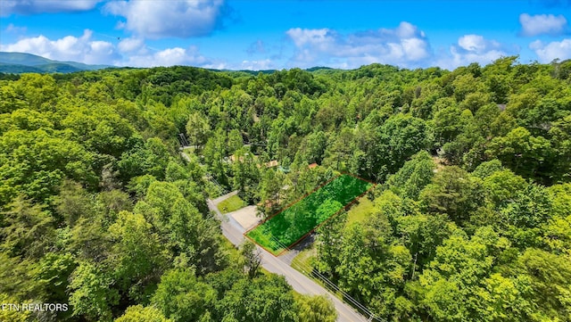LOT16 Powder Mill Rd, Gatlinburg, TN 37738