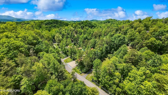 LOT16 Powder Mill Rd, Gatlinburg, TN 37738