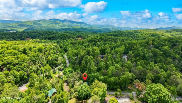 1626 Lake Dr, Gatlinburg, TN 37738