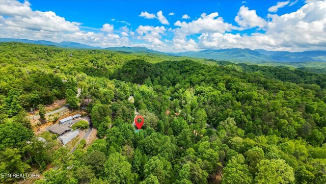 1626 Lake Dr, Gatlinburg, TN 37738