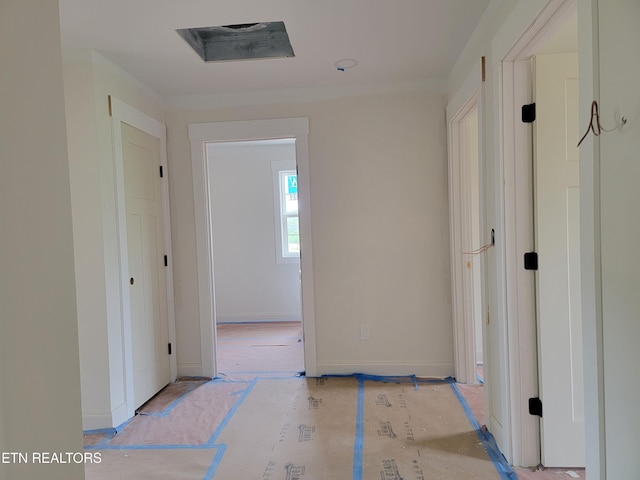 244 Sugar Maple Trl, Lenoir City, TN 37771 - view of hallway