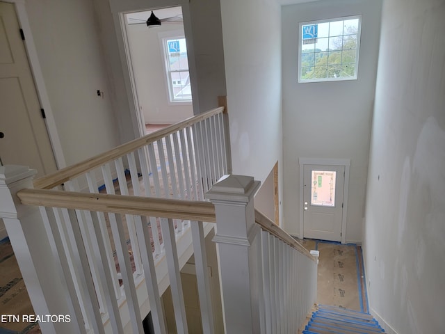 244 Sugar Maple Trl, Lenoir City, TN 37771 - stairs featuring plenty of natural light