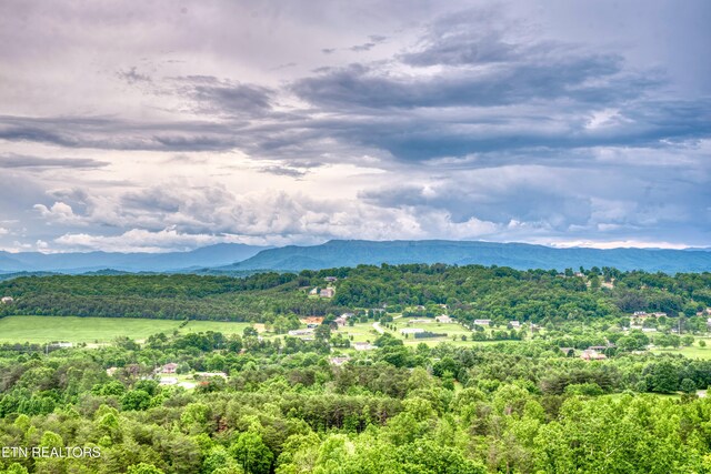 1012 Falcon Crest Dr, Seymour, TN 37865 - view of mountain feature with a wooded view