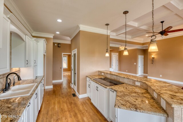 1012 Falcon Crest Dr, Seymour, TN 37865 - kitchen featuring recessed lighting, ornamental molding, a sink, a peninsula, and light wood-style floors