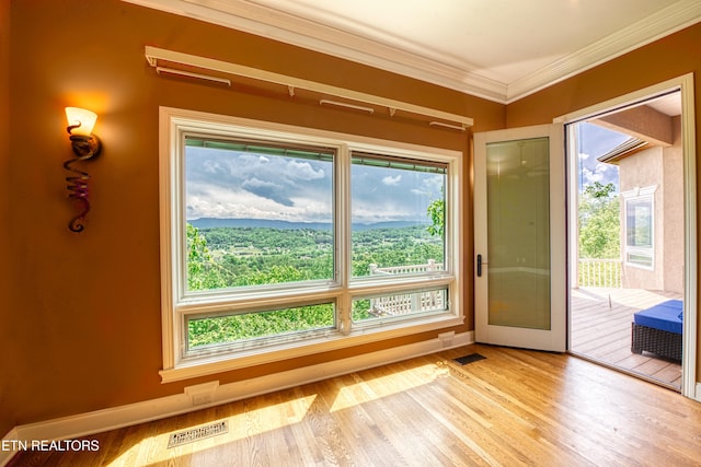 1012 Falcon Crest Dr, Seymour, TN 37865 - doorway with crown molding, a wealth of natural light, and visible vents