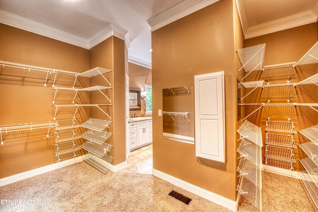 1012 Falcon Crest Dr, Seymour, TN 37865 - spacious closet with light carpet, visible vents, and a sink