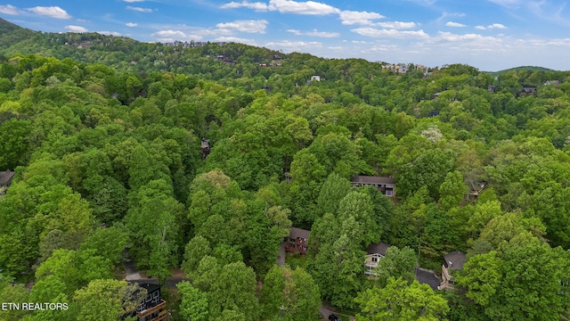 2115 Luzerne Dr, Gatlinburg, TN 37738