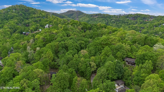 2115 Luzerne Dr, Gatlinburg, TN 37738