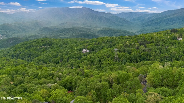 2115 Luzerne Dr, Gatlinburg, TN 37738