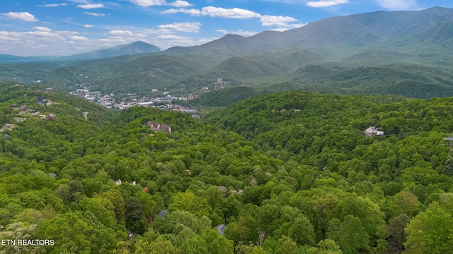 2115 Luzerne Dr, Gatlinburg, TN 37738