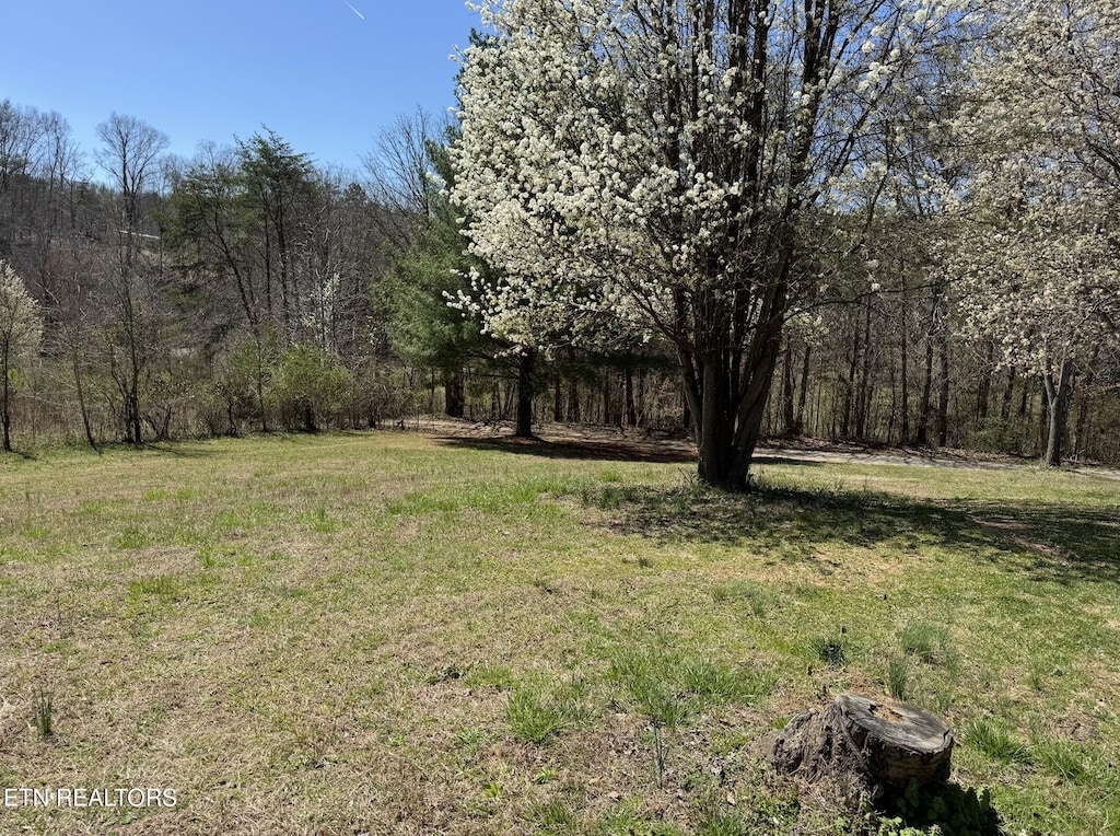 view of yard featuring a forest view