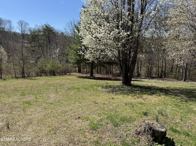 view of yard featuring a forest view
