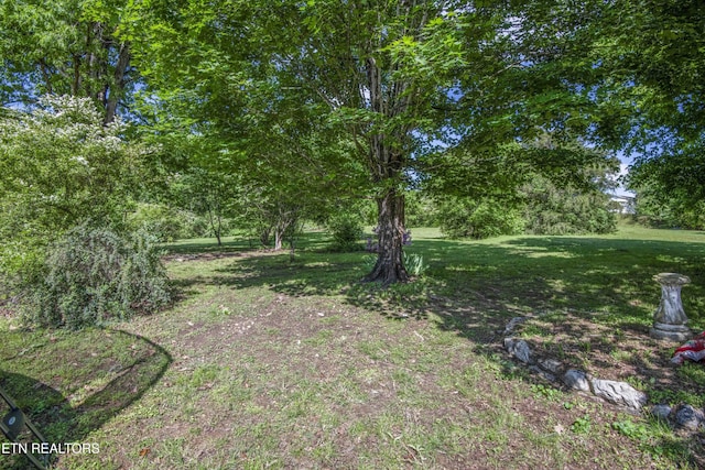 941 Pine Top St, Lenoir City, TN 37772 - view of yard