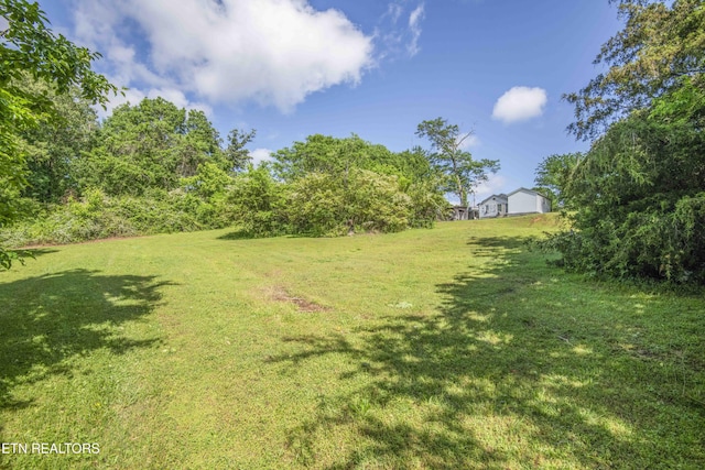 941 Pine Top St, Lenoir City, TN 37772 - view of yard