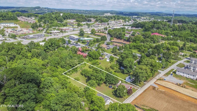 941 Pine Top St, Lenoir City, TN 37772 - bird's eye view