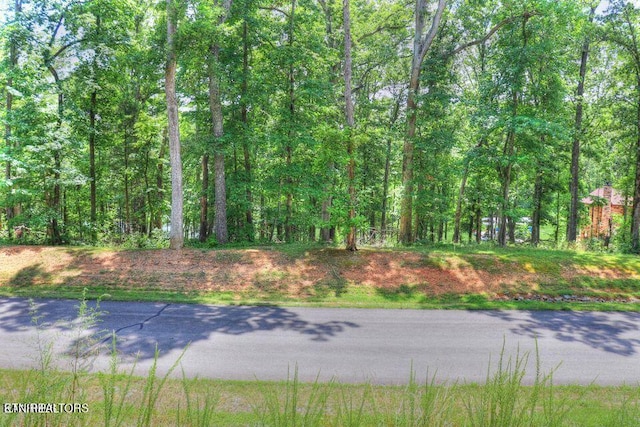 LOT55 E Shore Dr, Rockwood, TN 37854 - photo 1