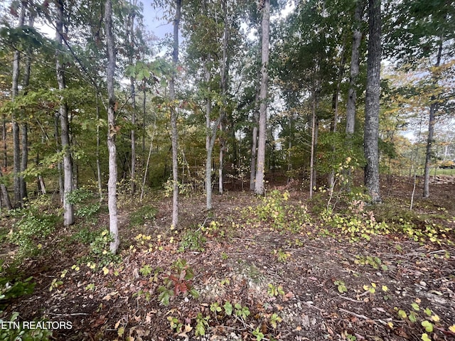 LOT55 E Shore Dr, Rockwood, TN 37854 - photo 2