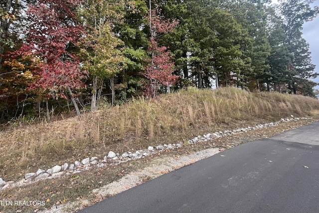 LOT55 E Shore Dr, Rockwood, TN 37854 - photo 4