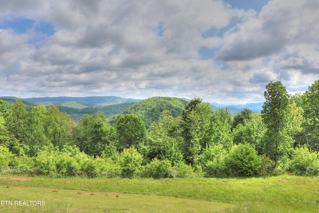 view of mountain background