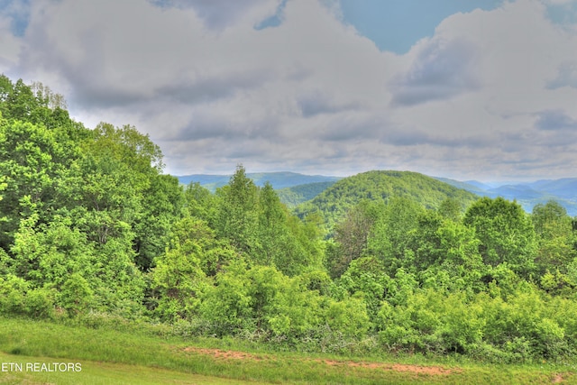 mountain view with a heavily wooded area