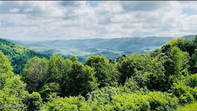 view of mountain background with a heavily wooded area