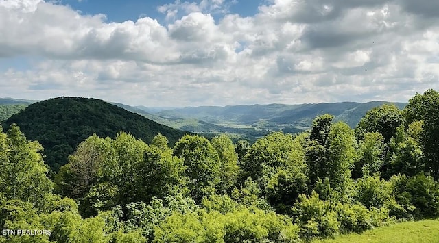 mountain view featuring a forest