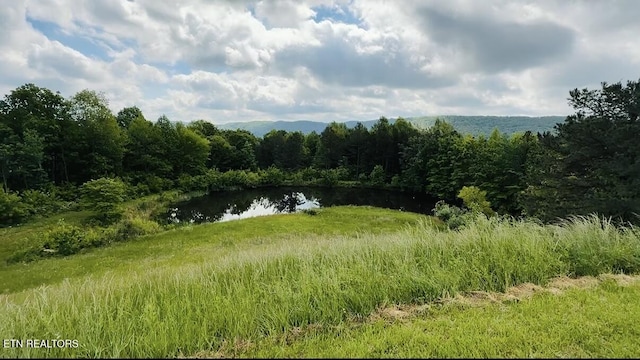 view of wooded area featuring a water view