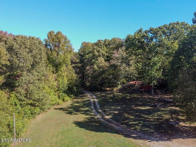 484 County Road 350, Sweetwater, TN 37874 - photo 7