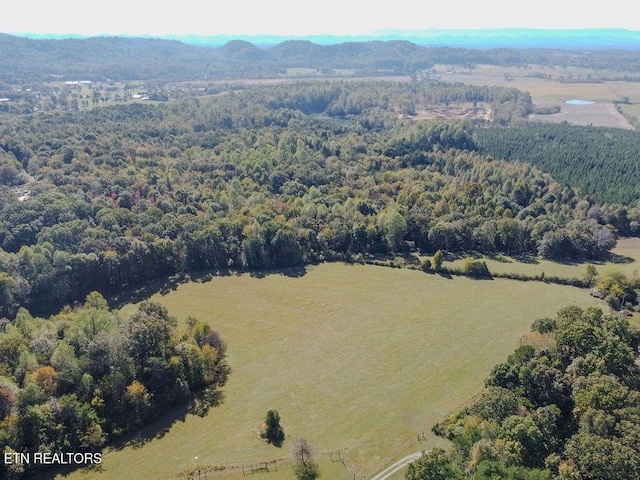 484 County Road 350, Sweetwater, TN 37874 - photo 17