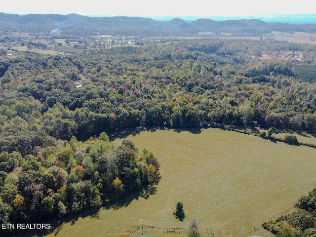 484 County Road 350, Sweetwater, TN 37874 - photo 19