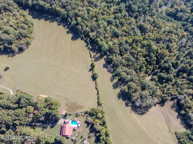 484 County Road 350, Sweetwater, TN 37874 - photo 21