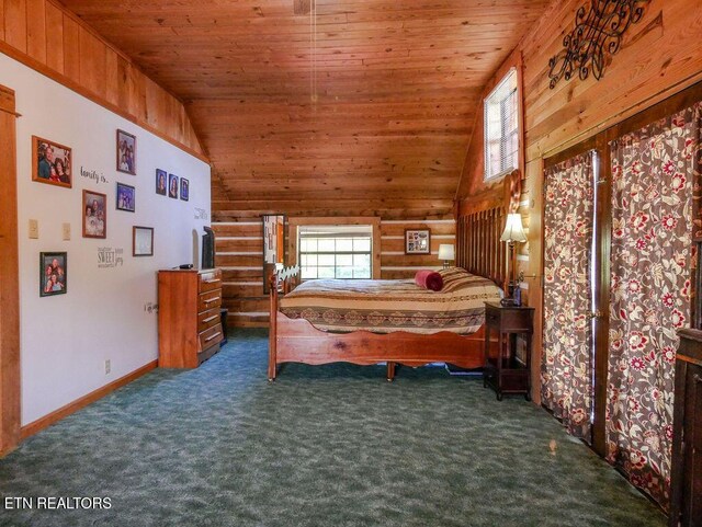 484 County Road 350, Sweetwater, TN 37874 - photo 43