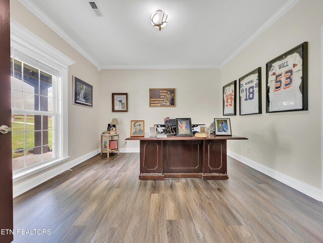 1810 Griffitts Mill Cir, Maryville, TN 37803 - office area featuring crown molding, dark wood-style flooring, and baseboards
