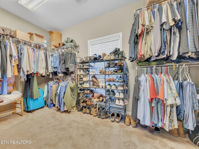 1810 Griffitts Mill Cir, Maryville, TN 37803 - walk in closet with carpet floors
