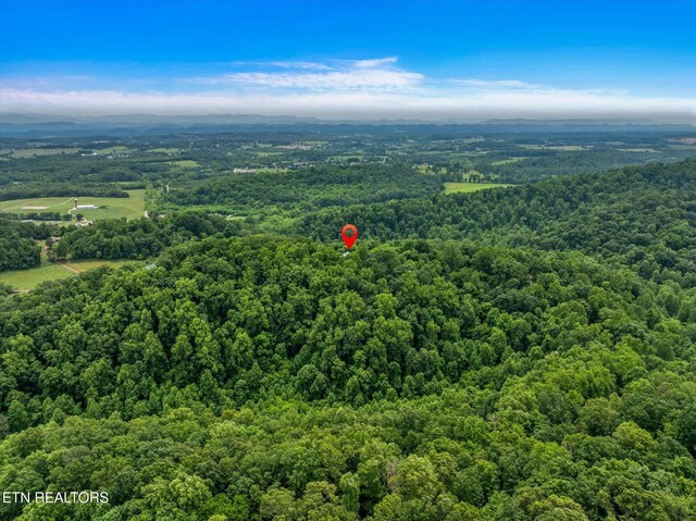 1750 Hiwassee Rd, Sweetwater, TN 37874 - photo 59