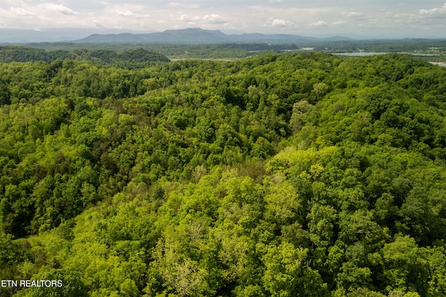 00 Henry Rd, Newport, TN 37821